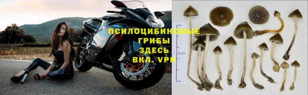 2c-b Абинск