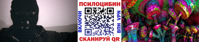 как найти наркотики  Новосибирск  Псилоцибиновые грибы мицелий 