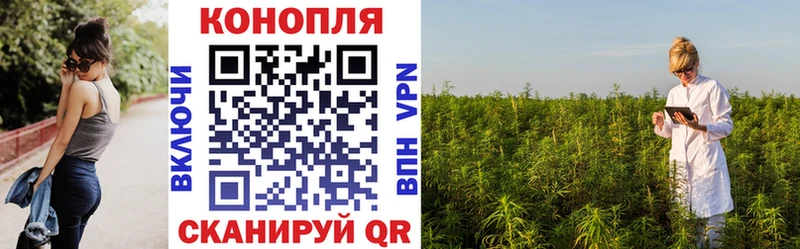 Бошки марихуана планчик Новосибирск